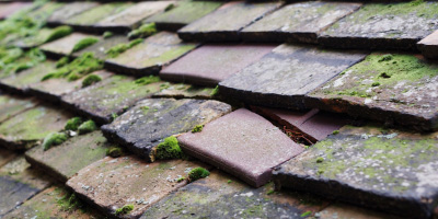 Wilmington roof repair costs